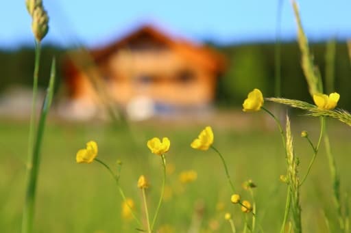 Gemütliche Innenansicht der Max-Hütte mit Holztisch und Korbstühlen